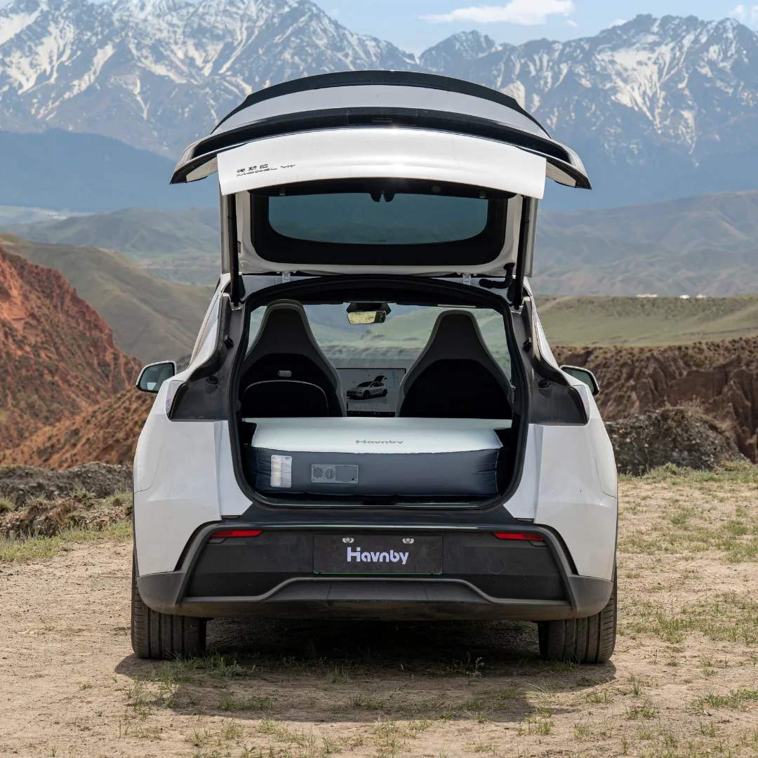 Havnby Model Y L FlatCore installed view